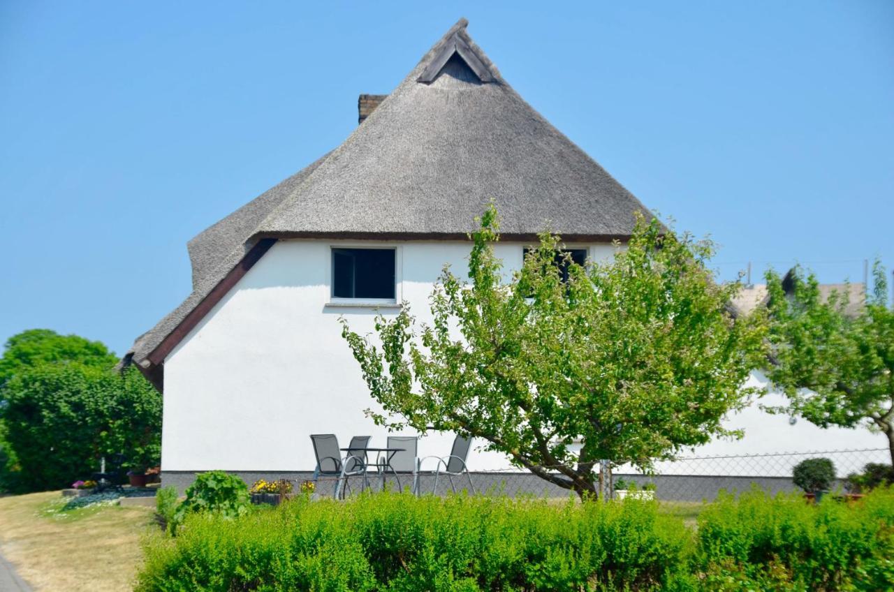 Meerforelle 207 - Villa Seeblick Sassnitz Exteriör bild